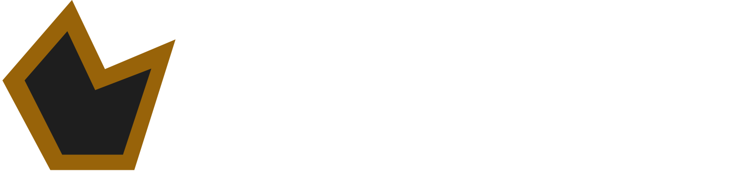 logo vasgon